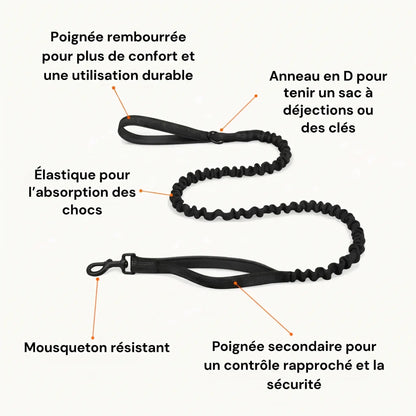 Harnais anti-traction Klean